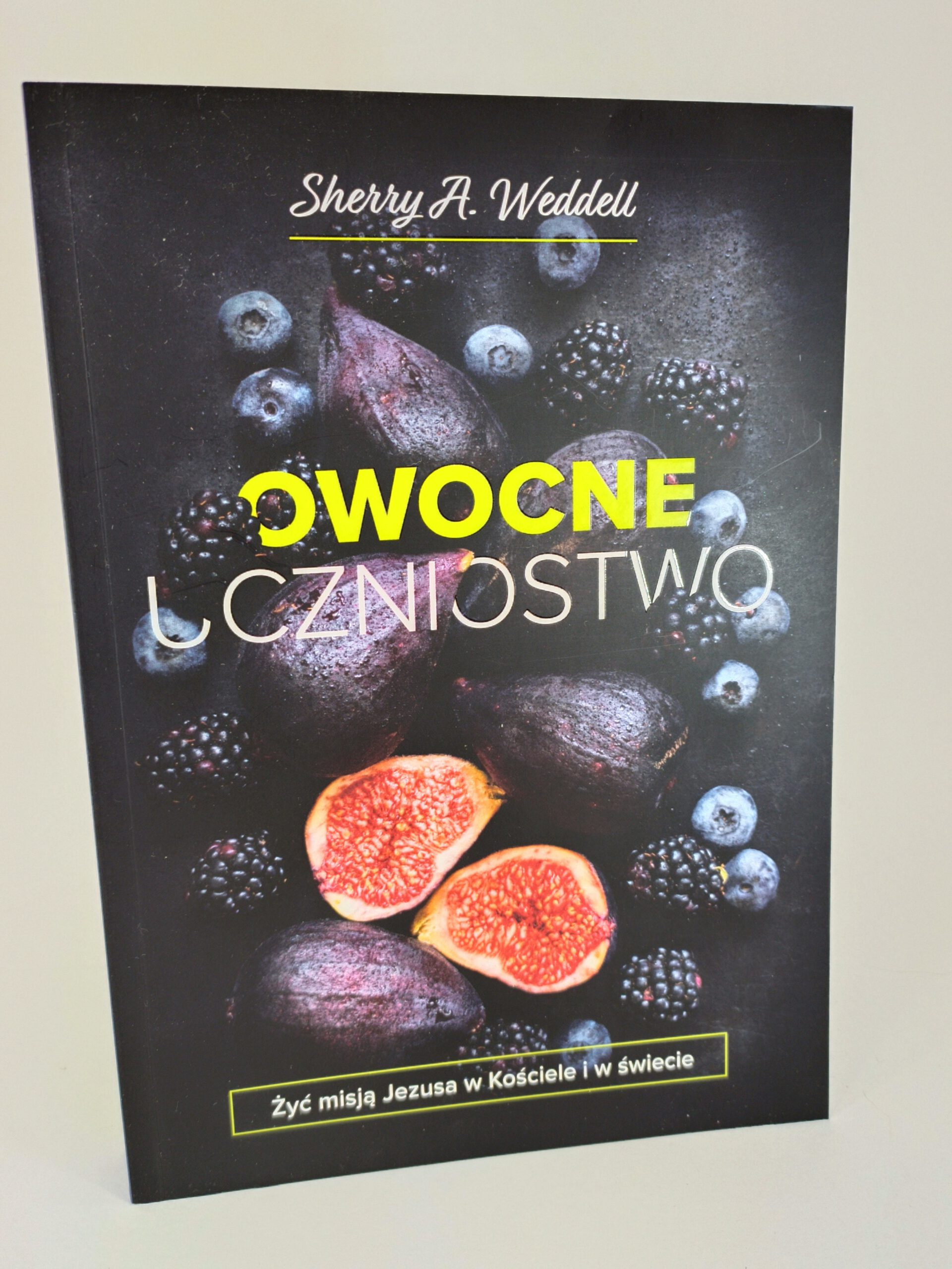 Owocne ucznistwo ksiazka w antykwariat Szczecin