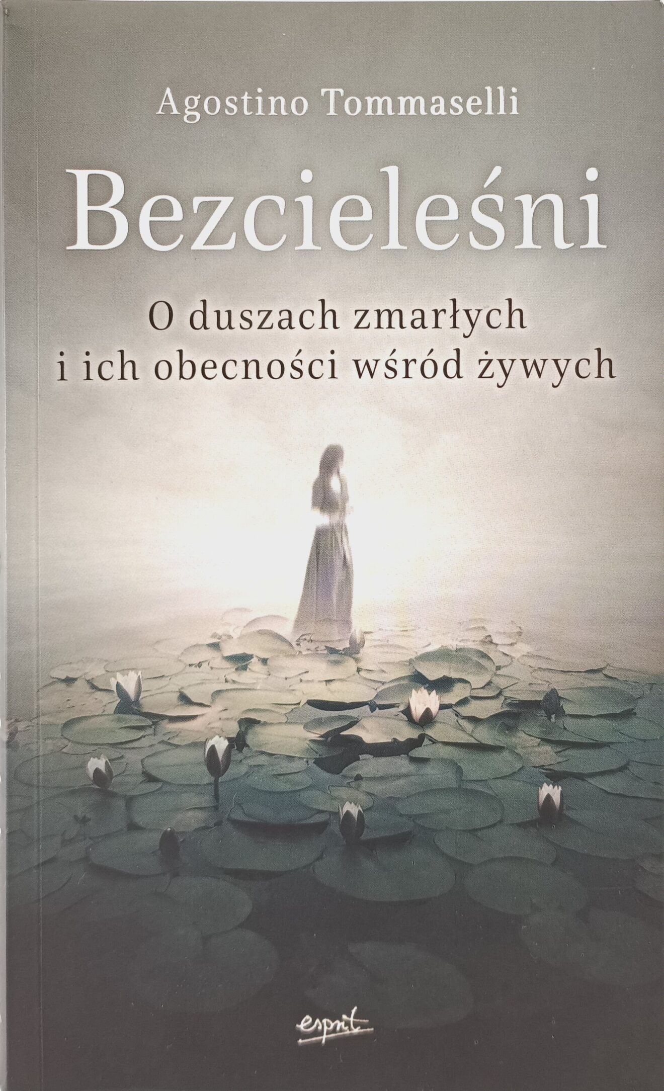 Bezcieleśni o duszach zmarłych i ich obecności wśród żywych