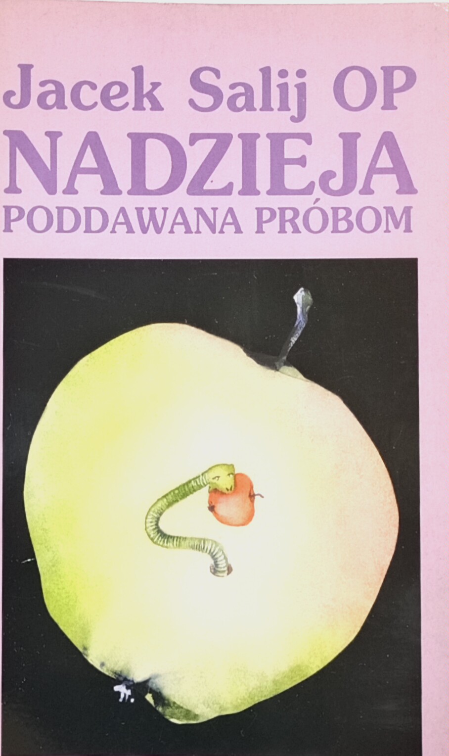 nadzieja poddawana próbom okładka książki w antykwariat książki Szczecin
