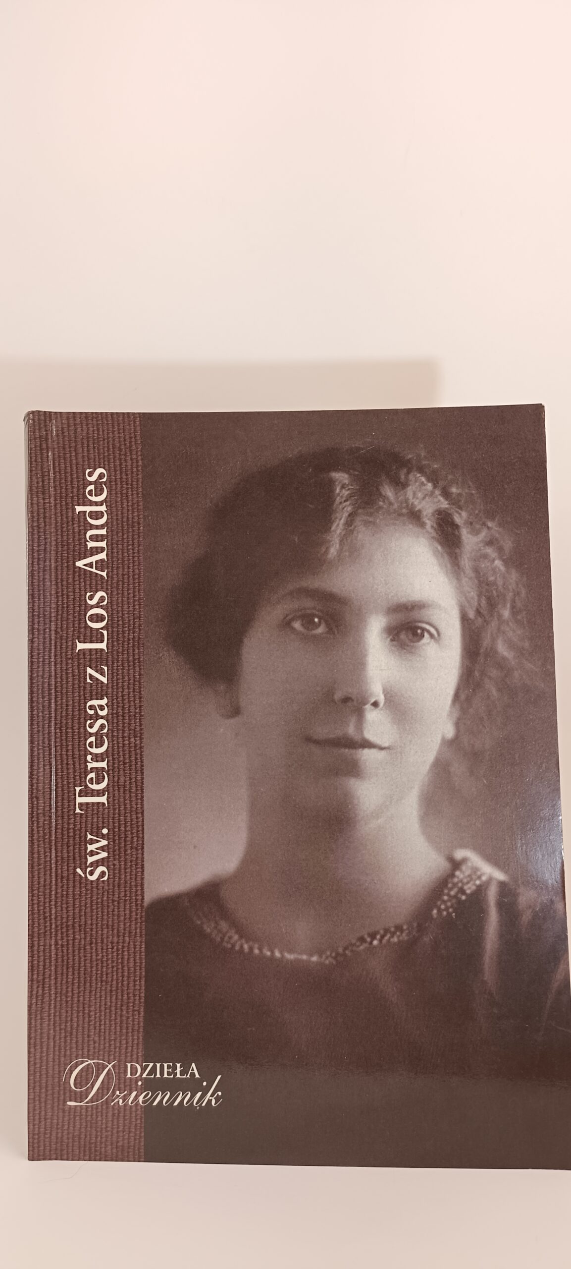 dziennik Teresy z Los Andres przód książki w antykwariat książki używane Szczecin