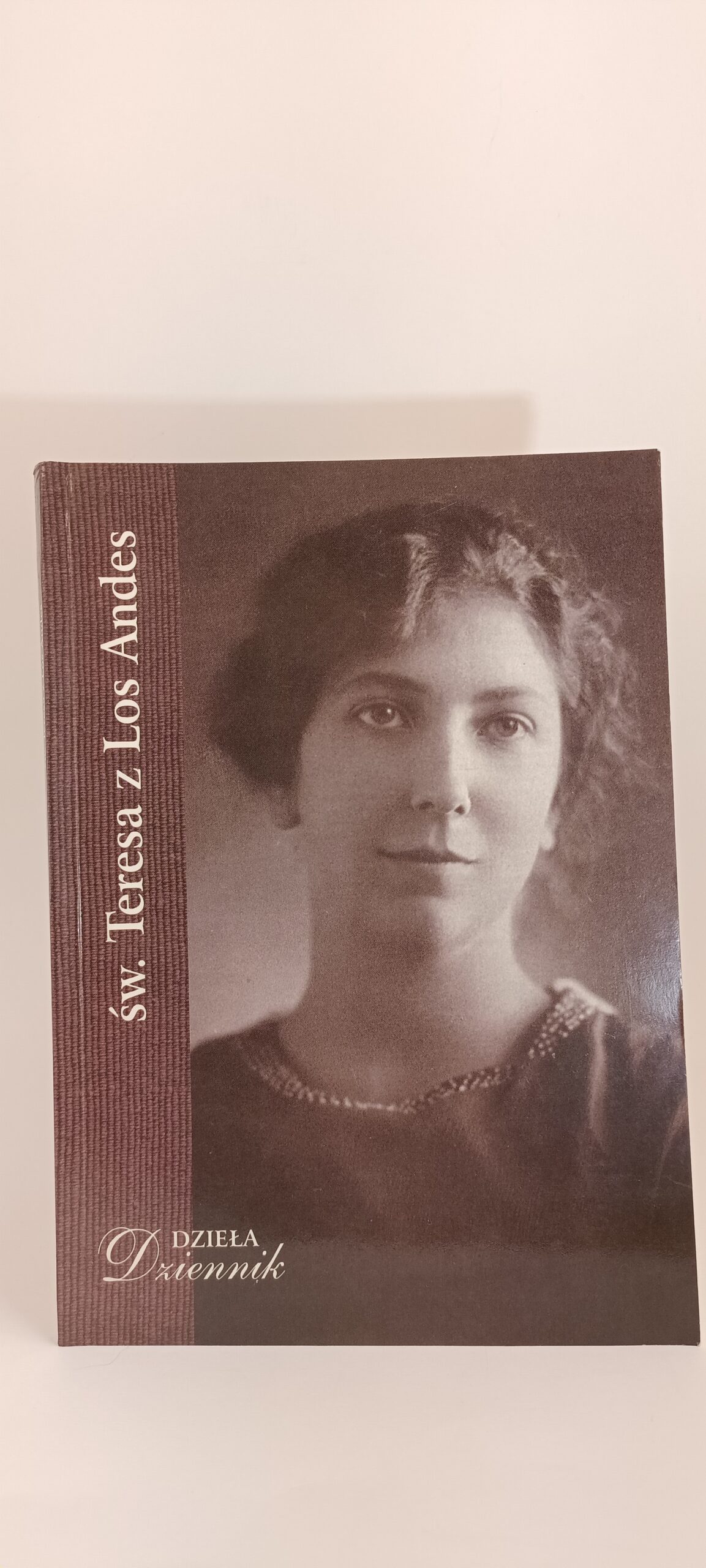 dziennik Teresy z Los Andres okładka książki w antykwariat książki używane Szczecin